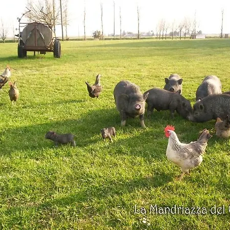Farmstay Agriturismo La Mandriazza Del Gallo Agroturismo